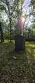 9676 Campbell Road - Photo 11