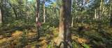 9676 Campbell Road - Photo 36
