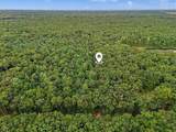 395 Campbell Road - Photo 40