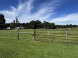 58435 Fairfax Road - Photo 11