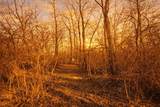  River Road - Photo 22