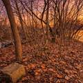  River Road - Photo 24
