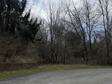 1192 Stags Leap Lane - Photo 7