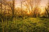  River Road - Photo 12
