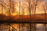  River Road - Photo 9