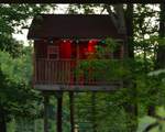11301 108th Street - Photo 78