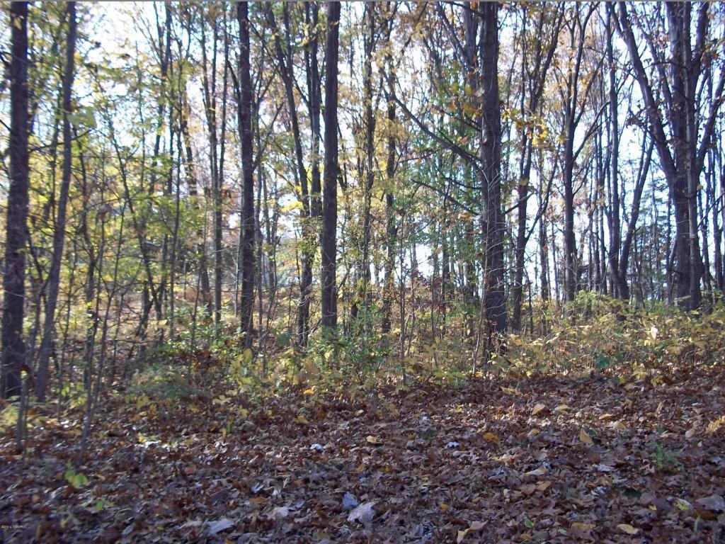 5&6 Island in The Hills - Photo 1