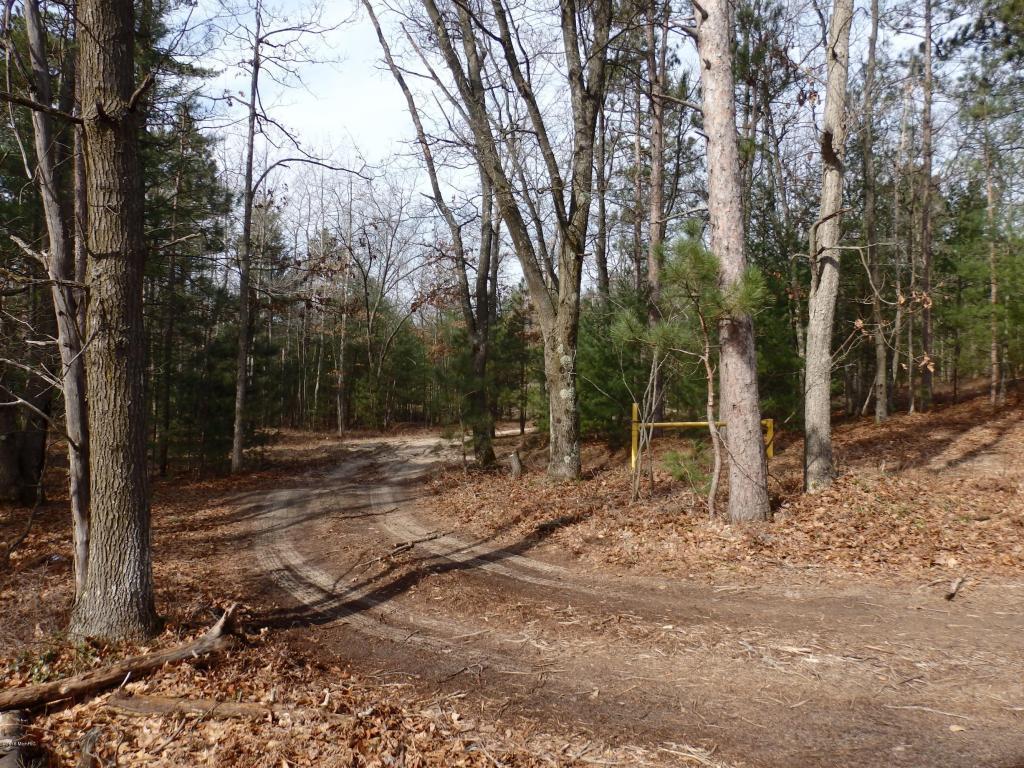 Maple Road - Photo 1