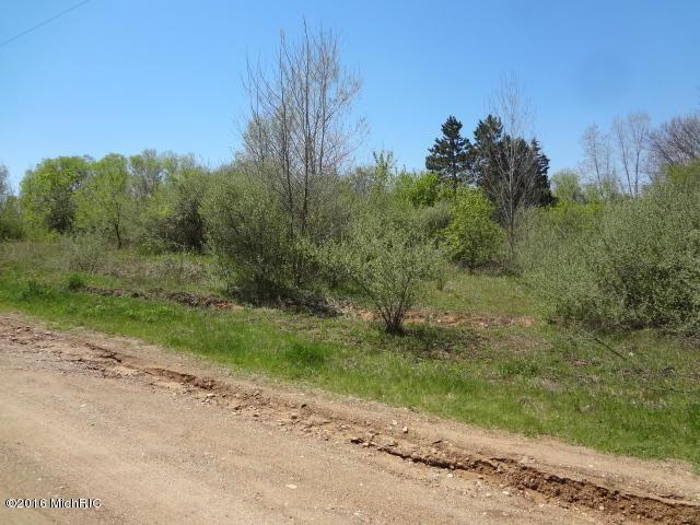 Tract #1 Mount Zion Street - Photo 1