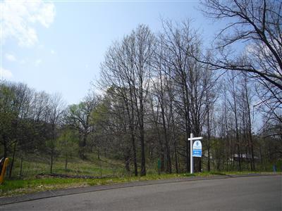 Lot 9 Oakvale - Photo 1