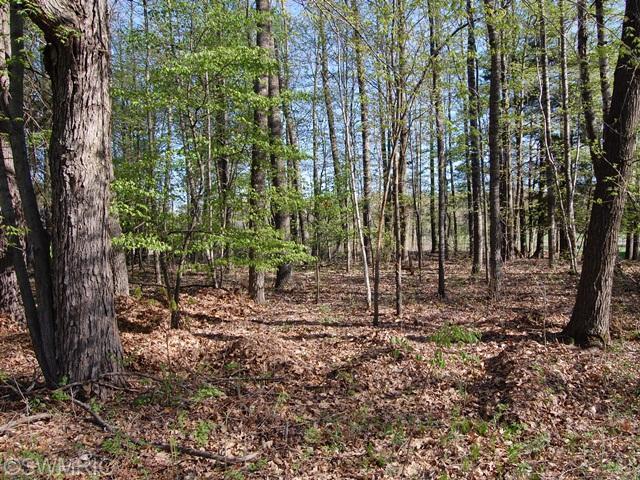 9218 Elmwood Court - Photo 1