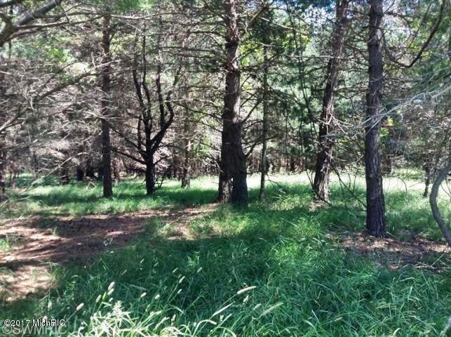 Ramsdell Road - Photo 1
