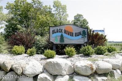Black River Drive - Photo 1