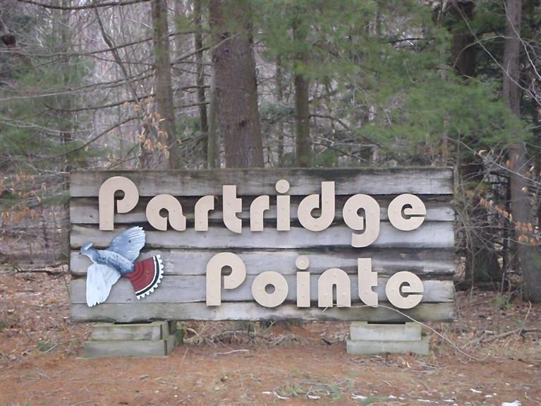 Partridge Circle - Photo 1