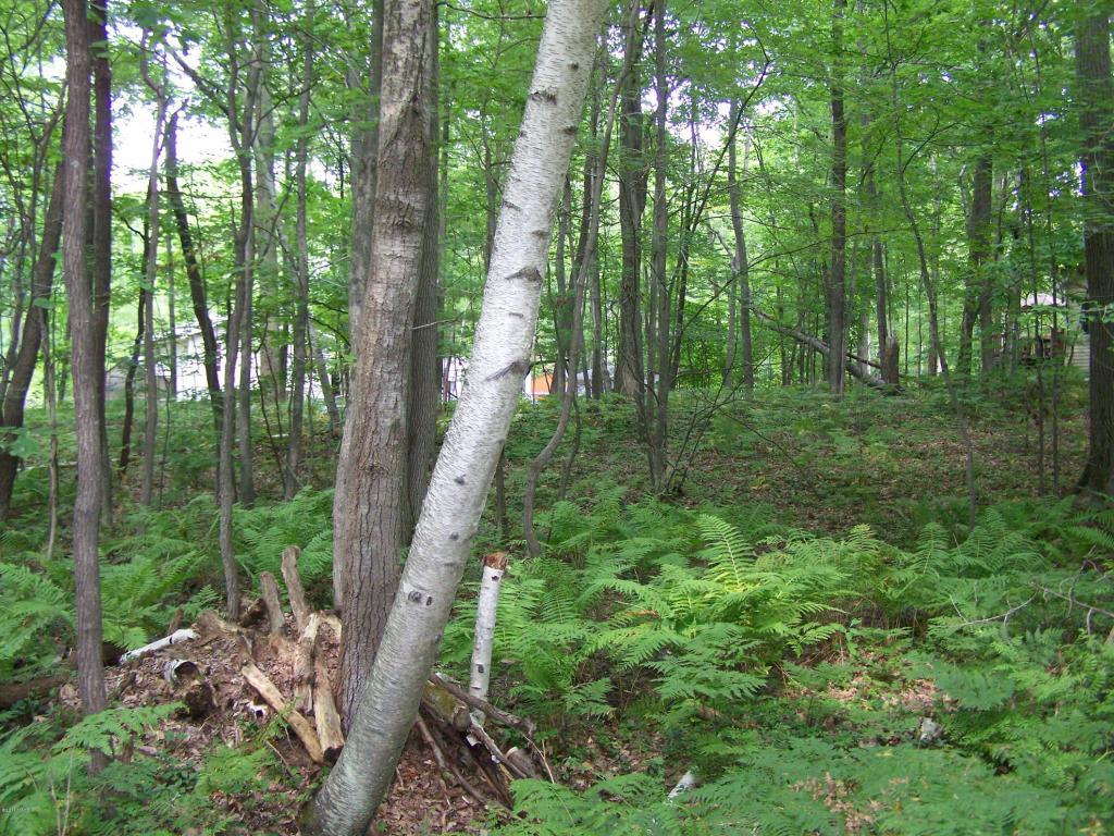 Lot # 9 Silver Ridge - Photo 1