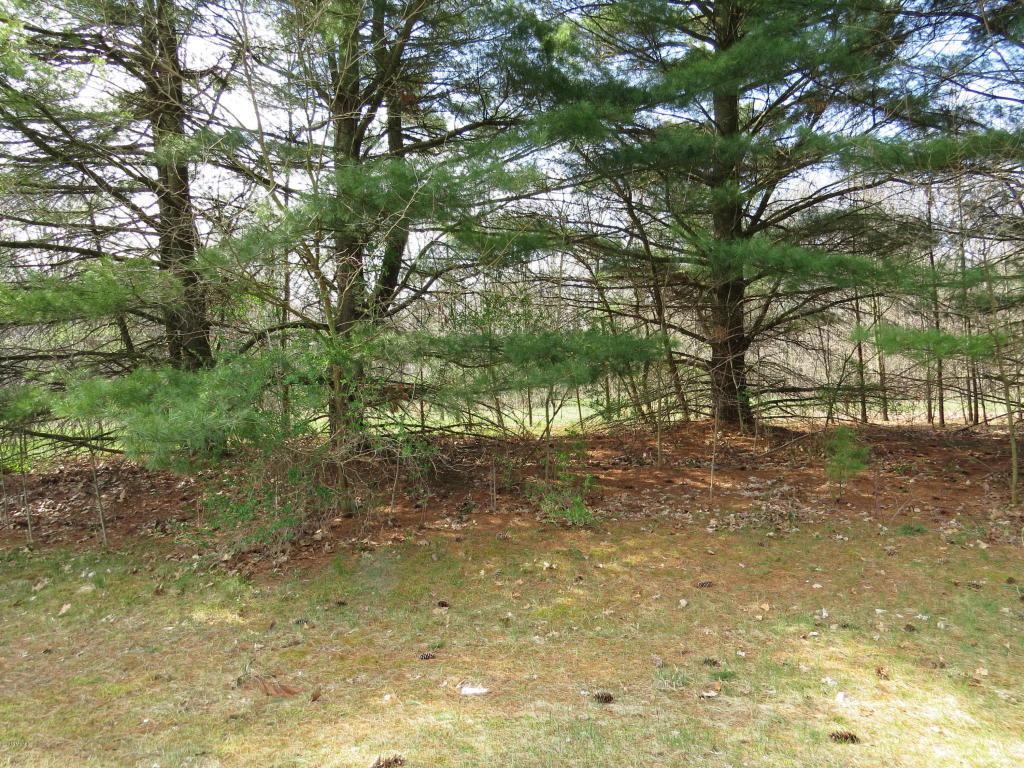 Lot 4 Poplar Ridge Drive - Photo 1