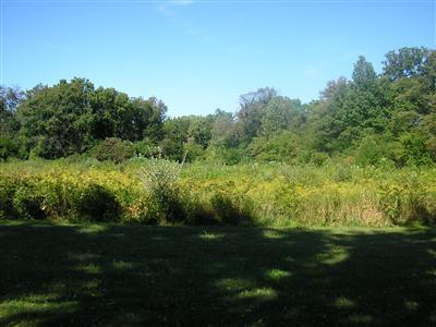 Willow Drive - Photo 1