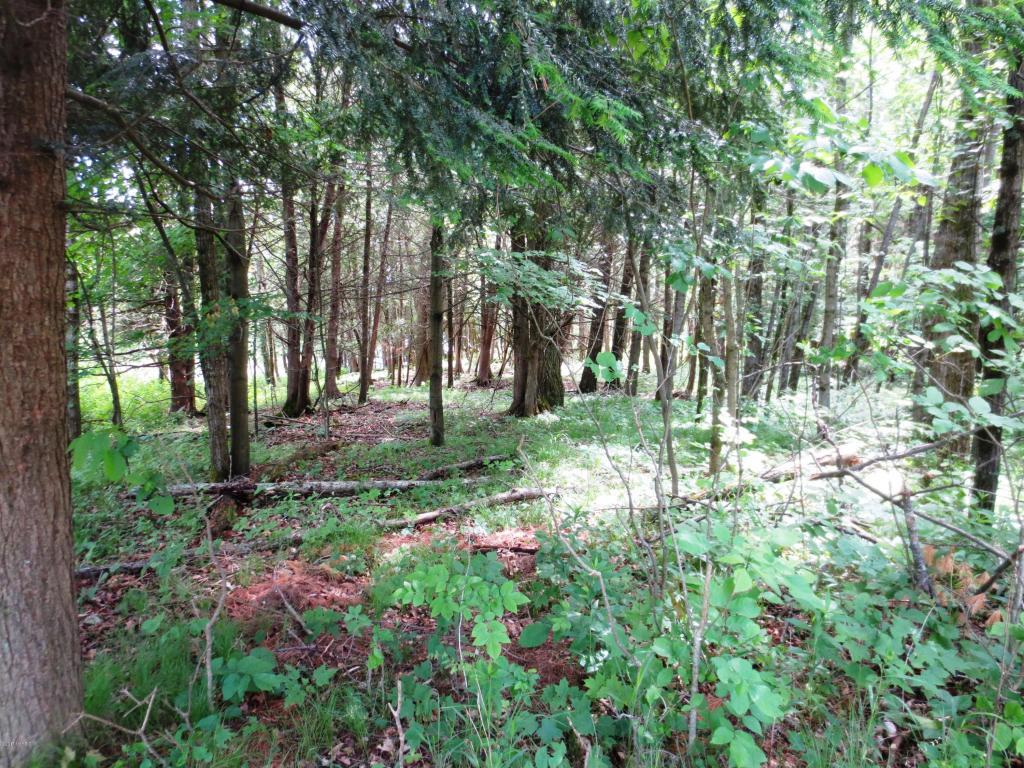 Lot 7 Blue Vista Drive - Photo 1