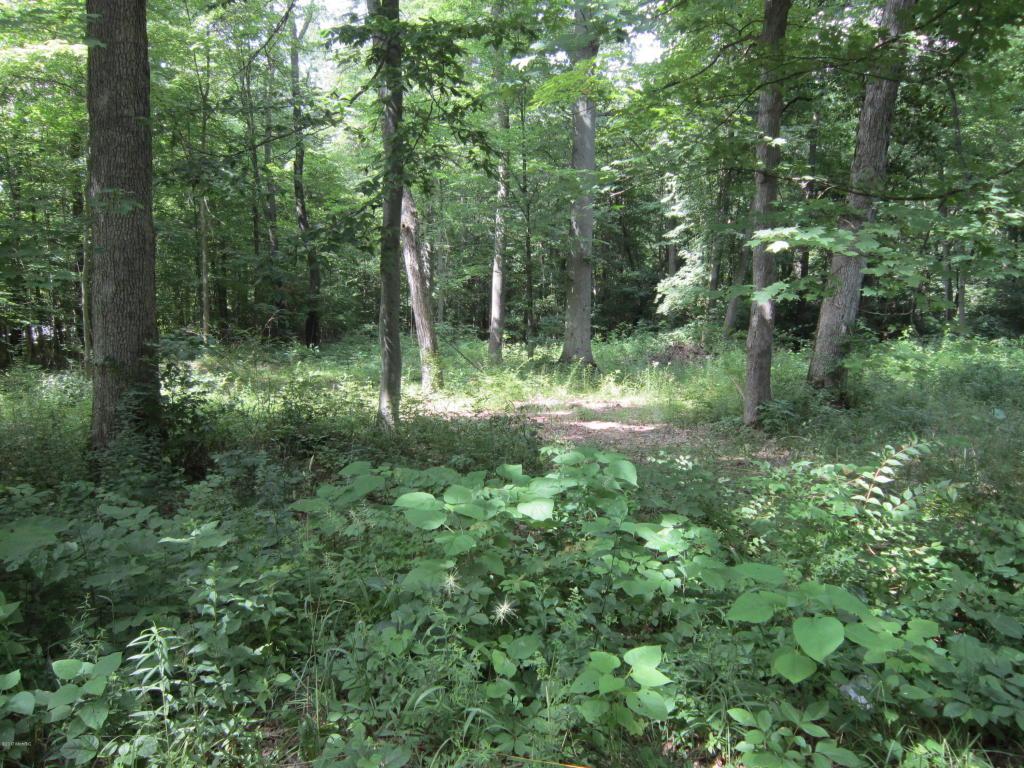 195 Bell Rd - Photo 1