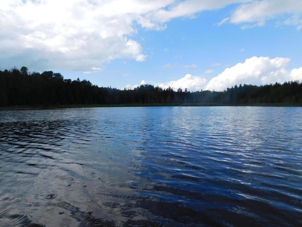 173 Acres S. Humms Rd - Photo 1