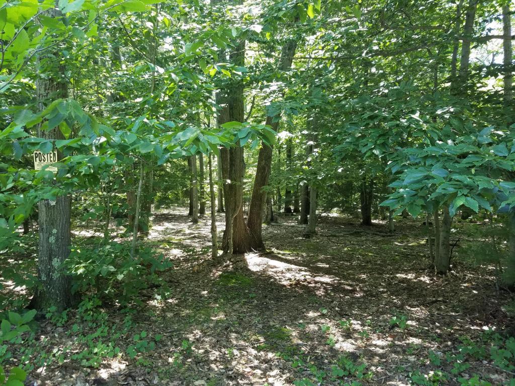 Duck Lake Road - Photo 1