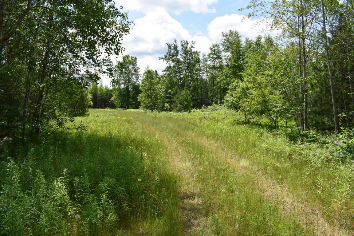 12255 9 Mile Rd - Photo 1