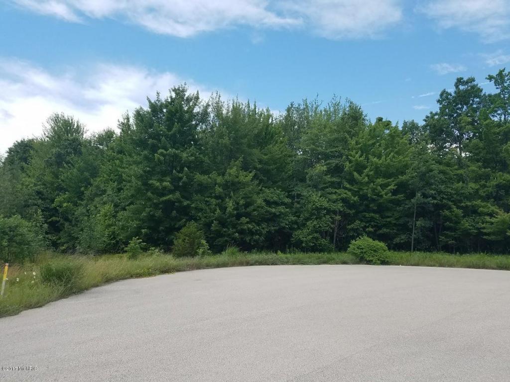 6855 Norton Pines Drive - Photo 1