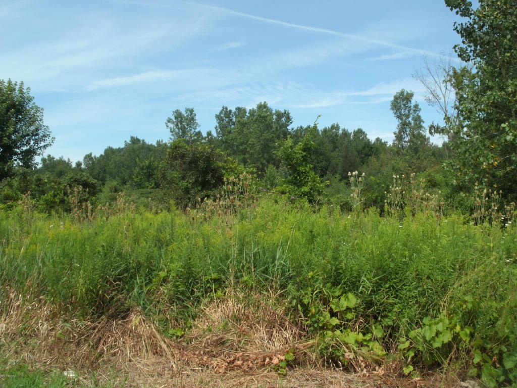 2631 Britain Avenue - Photo 1