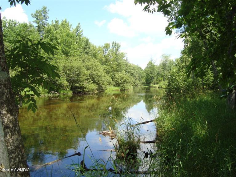 9180 Muskegon Trail - Photo 1