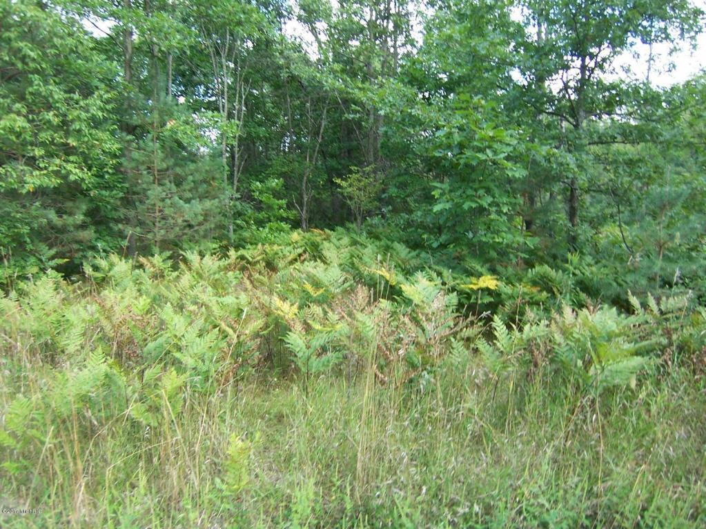 Lot 19 & 35 Blue Vista Drive - Photo 1