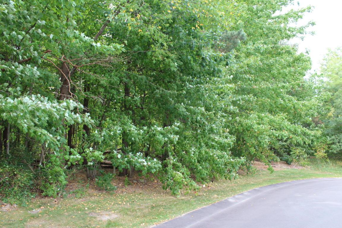 13928 Westwood Lane - Photo 1