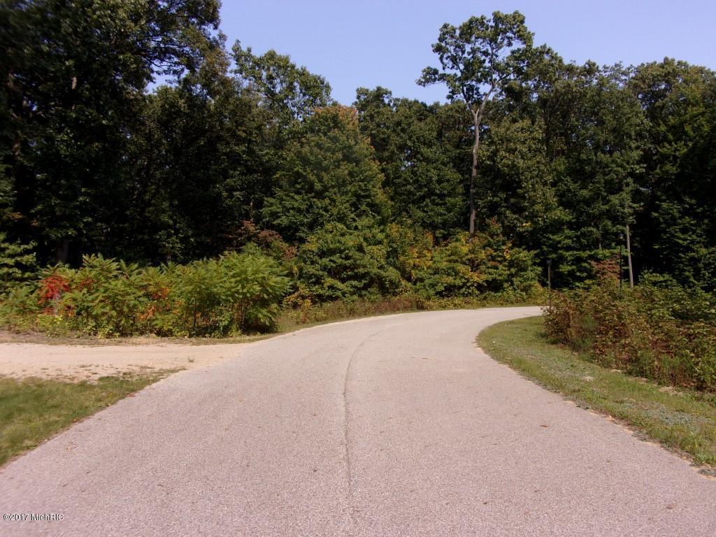 3833 Ryan Woods Circle - Photo 1