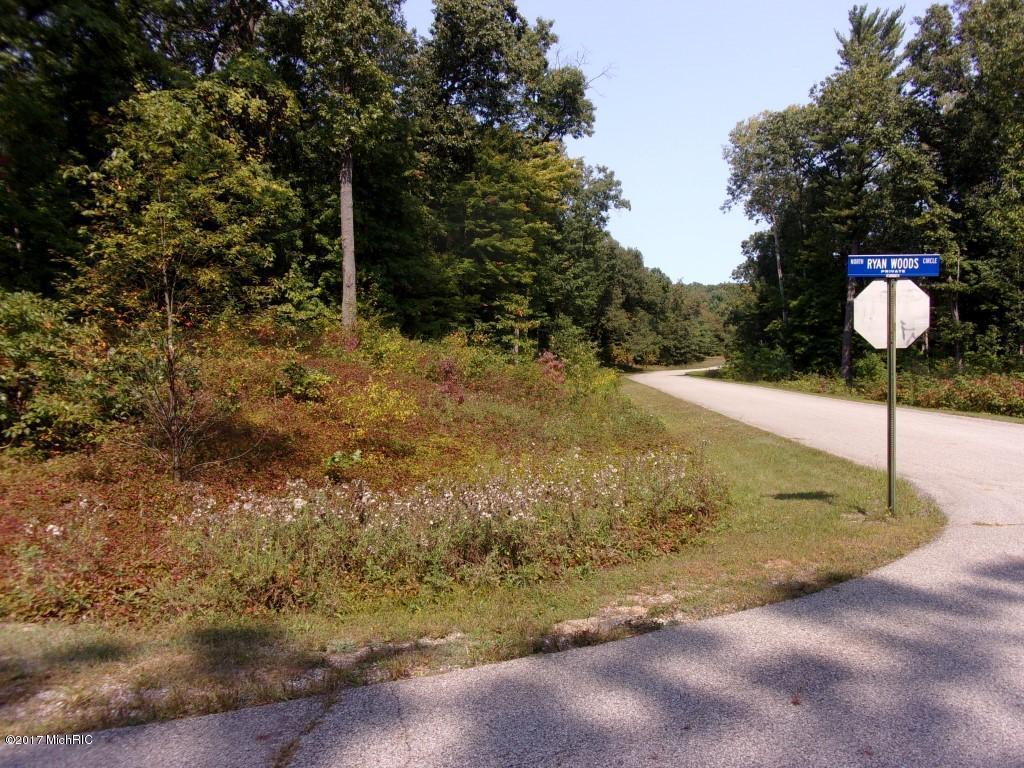 Ryan Woods Drive - Photo 1