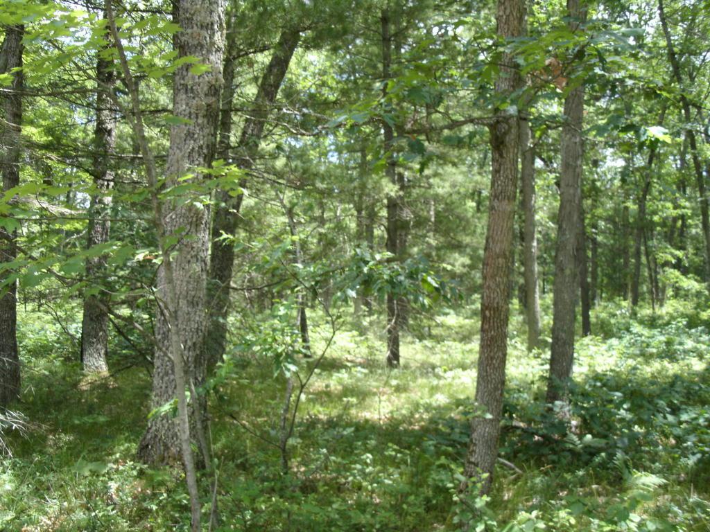 00 36th - Photo 1