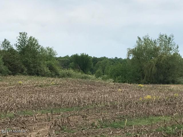 3.64 Acres Polk Road - Photo 1