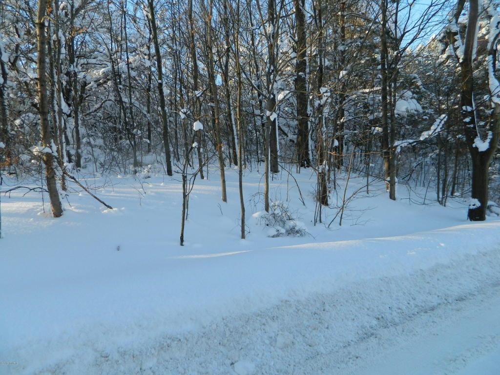 V/L Rankin Street - Photo 1