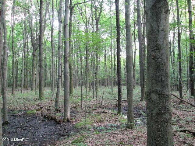 Whiting Avenue - Photo 1