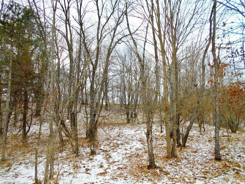 10179 Crazy Horse Trail - Photo 1