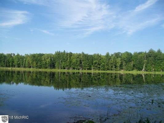 TBD 100th Avenue - Photo 1