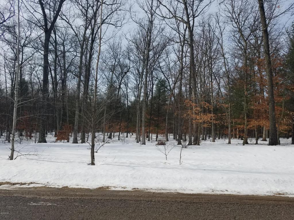 0 Danc Drive - Photo 1