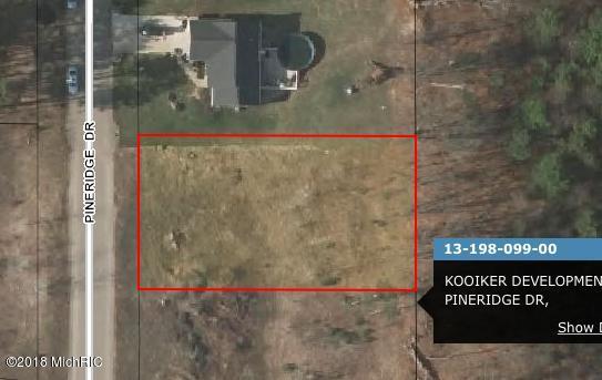 99-LOT Pineridge Drive - Photo 1