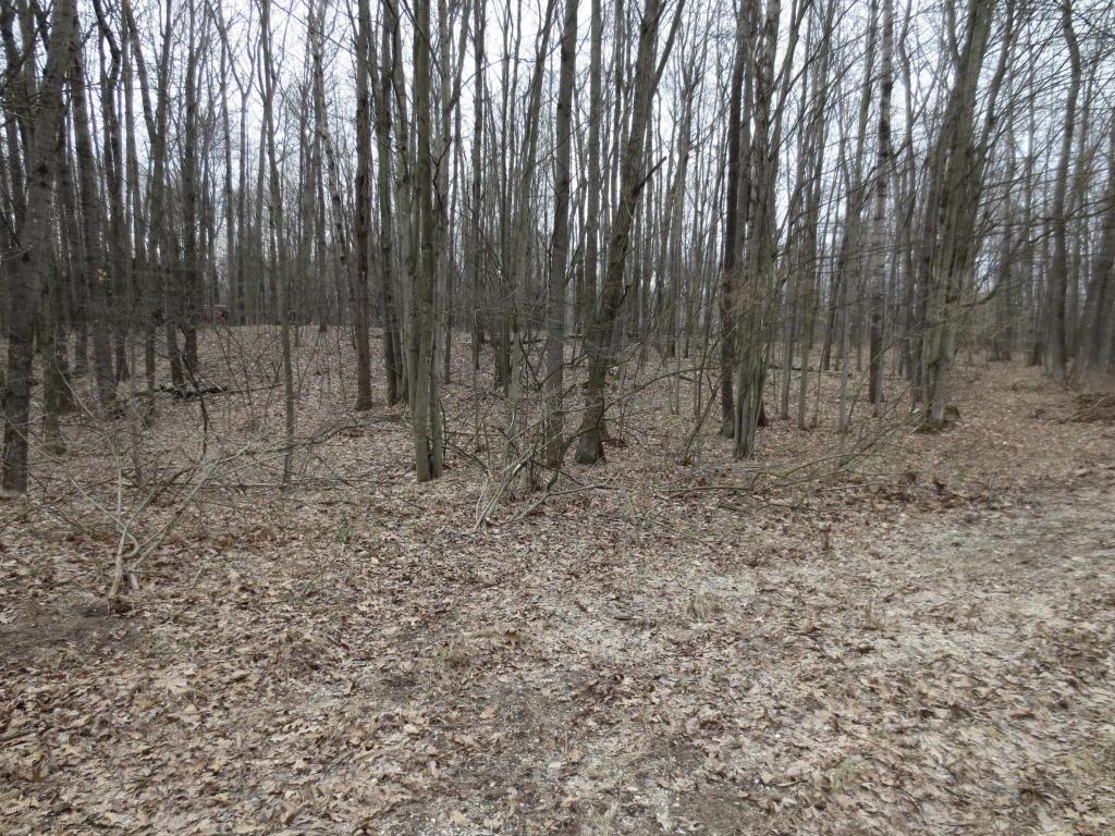 12065 Hudson Bay Road - Photo 1