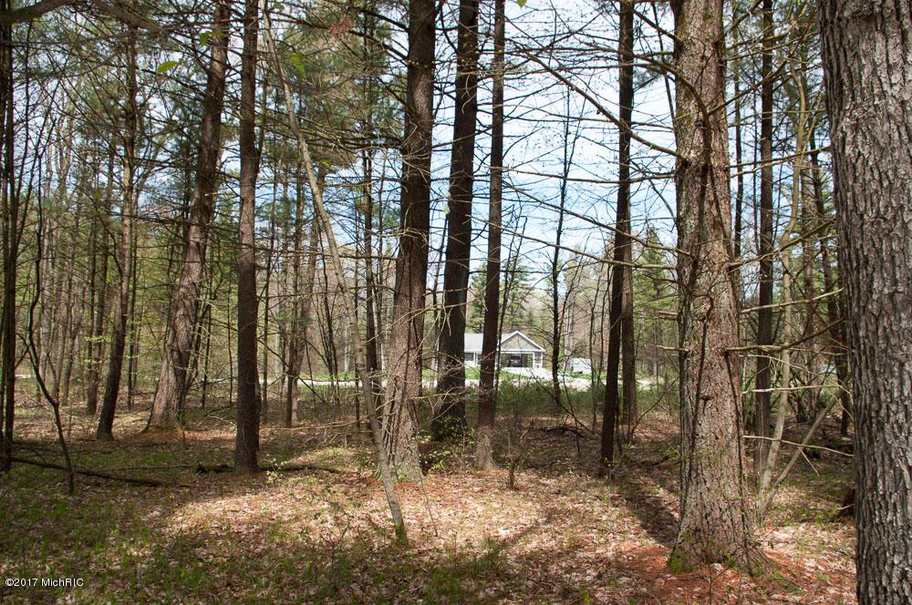 9946 Falcon Trail - Photo 1