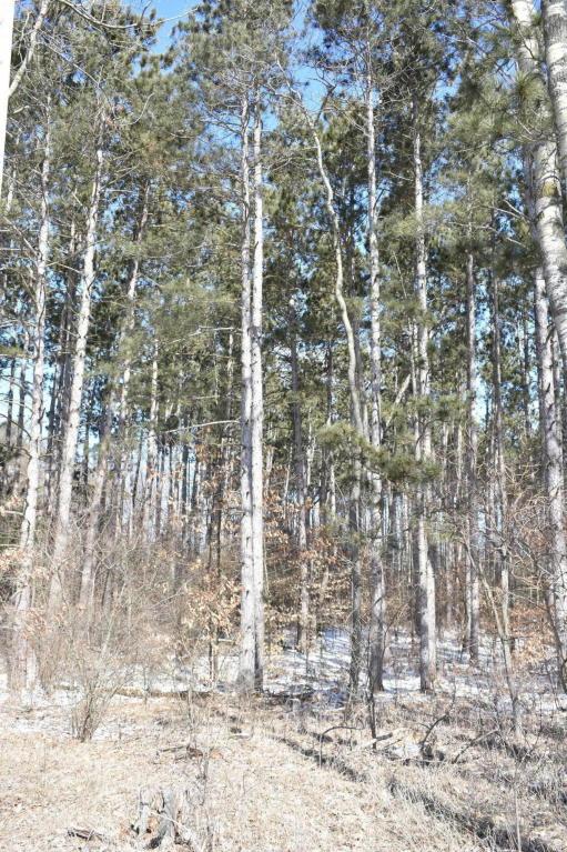 11851 21 Mile Road - Photo 1