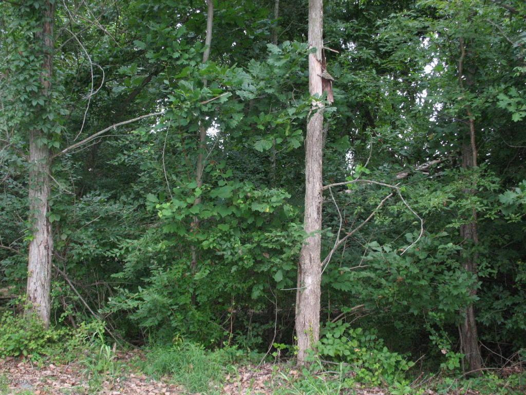 Lot 118 Riga Drive - Photo 1