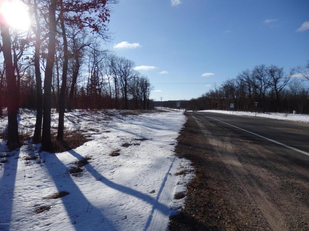 70.66 Acres M-55 - Photo 1