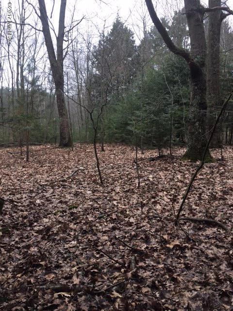 0 Bayou Road - Photo 1