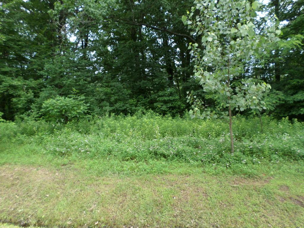 17664 Penny Lane - Photo 1