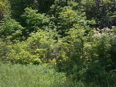 6027 Wilson Road - Photo 1