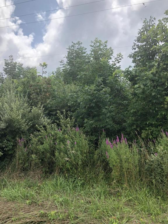 134th Avenue - Photo 1